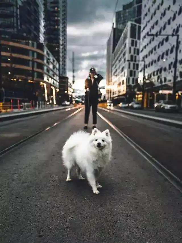 如何选择更好的生活方式_生活方式好的句子_方式好生活选择什么意思