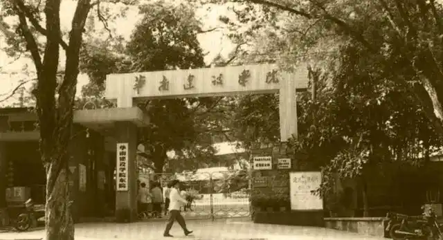 哲学领域分类_常识哲学总结领域基本内容_哲学领域基本常识总结