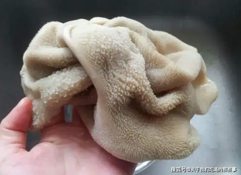 生活小窍门牛肚怎么清洗_牛肚怎样清洗干净视频_牛肚怎样清洗视频教程