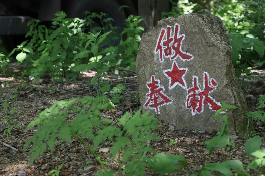 前辈创业故事_前辈创业故事简短_前辈创业故事分享