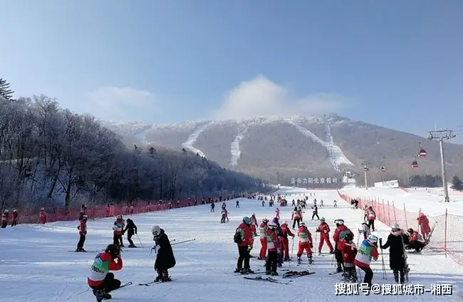 哈尔滨道外区大型商场_哈尔滨商业广场_哈尔滨道外大型商业演出