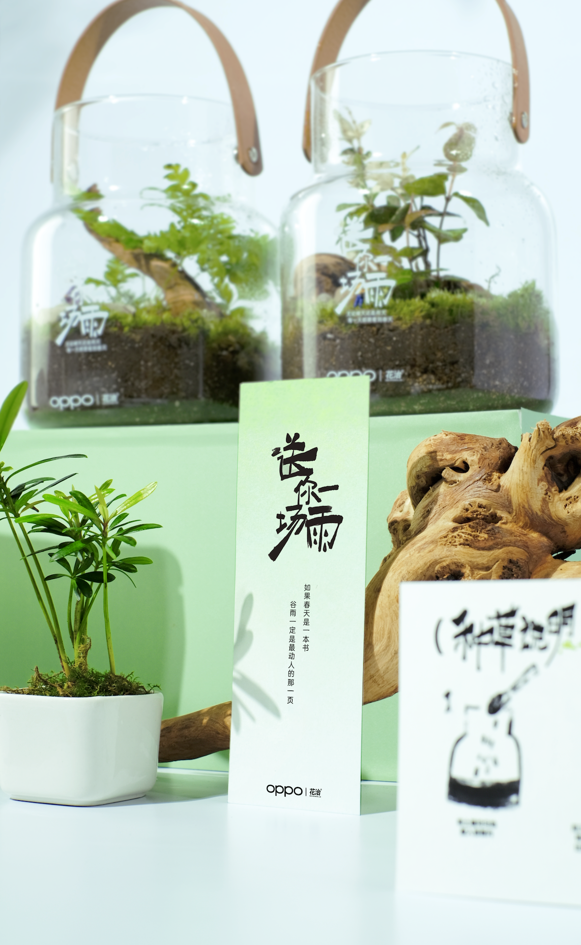 OPPO谷雨三部曲：把雨做成礼物，送你一整个春天的美好