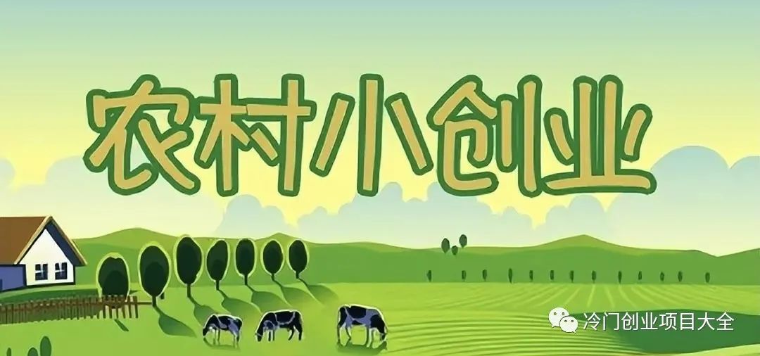 创业小故事短篇_小叶创业故事在线听_小叶的创业故事