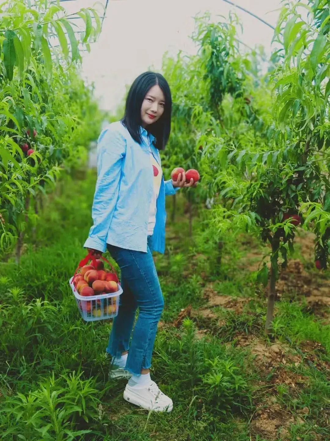 养土鸡创业计划书_创业养鸡致富故事视频_养土鸡创业故事