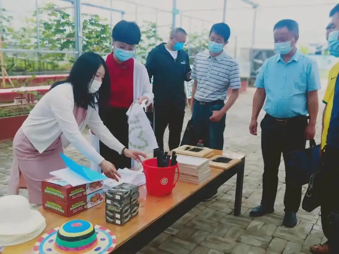 养土鸡创业故事_创业养鸡致富故事视频_养土鸡创业计划书